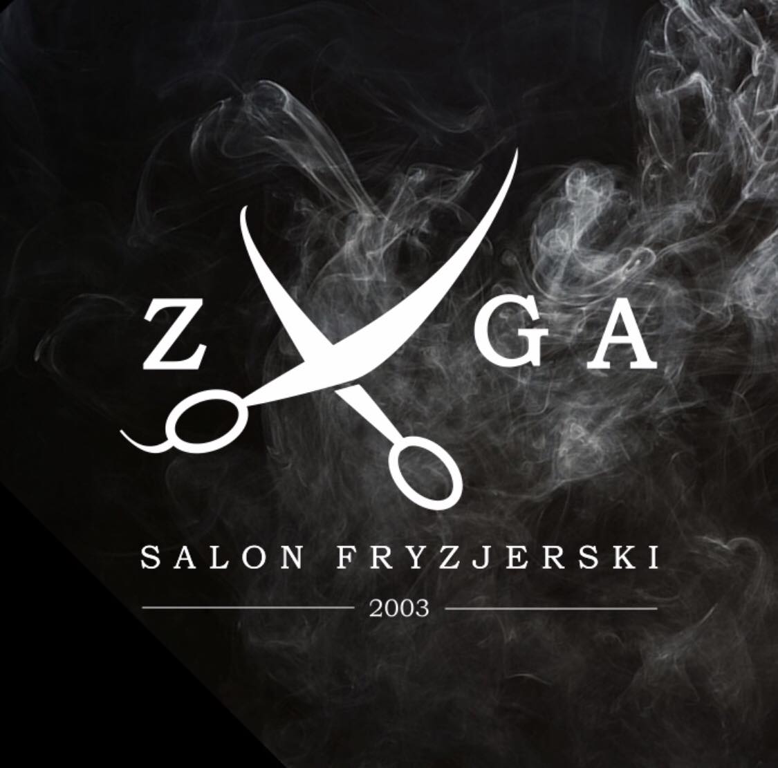 logo partnera