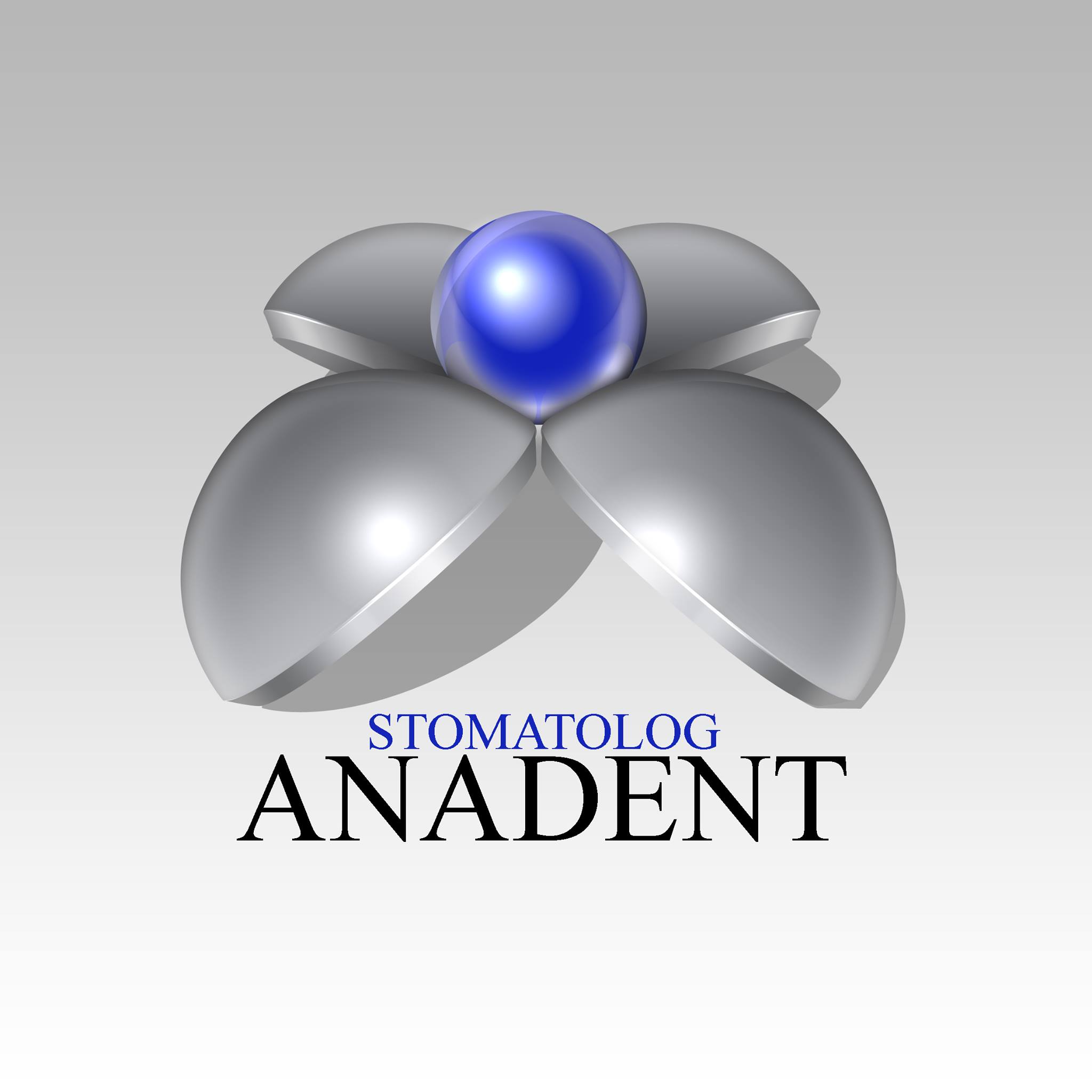 logo partnera