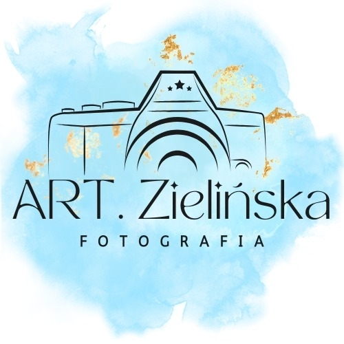 logo partnera