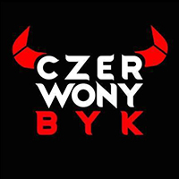 logo partnera