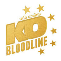 logo partnera