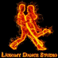 logo partnera