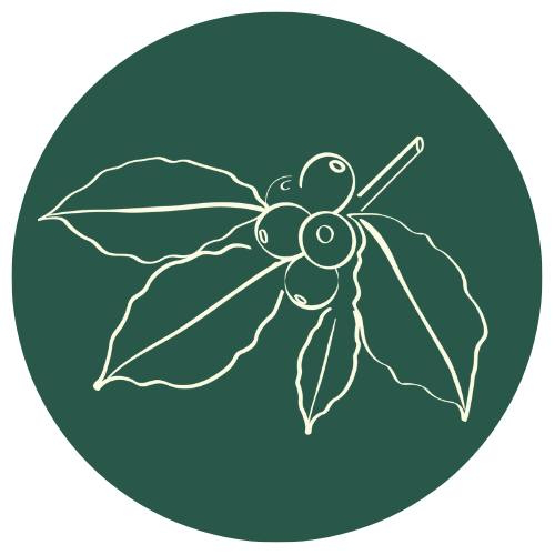logo partnera