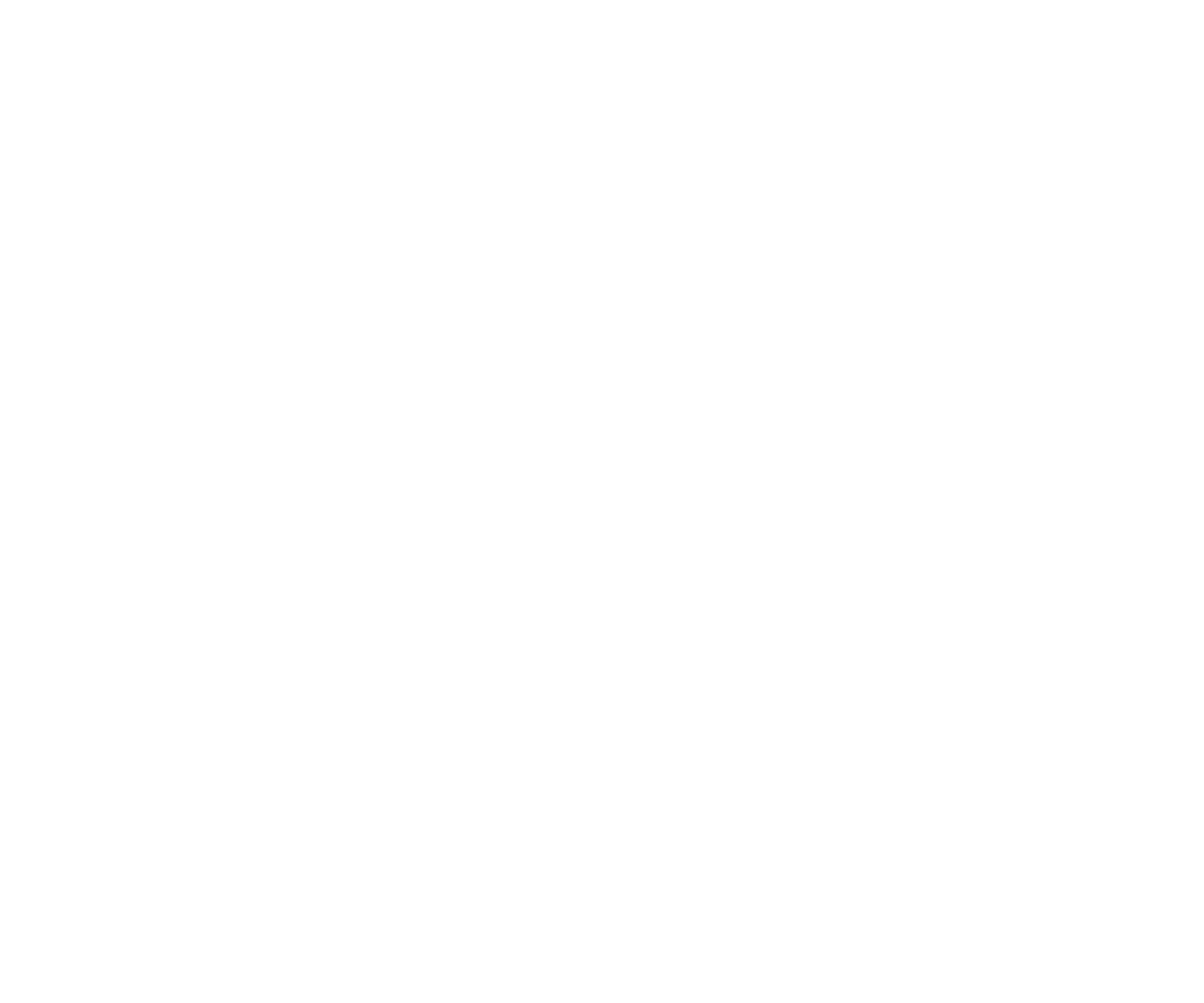 logo partnera